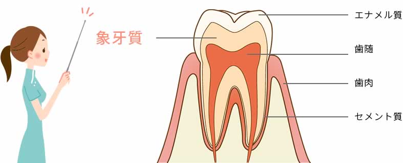 原因 知覚 過敏