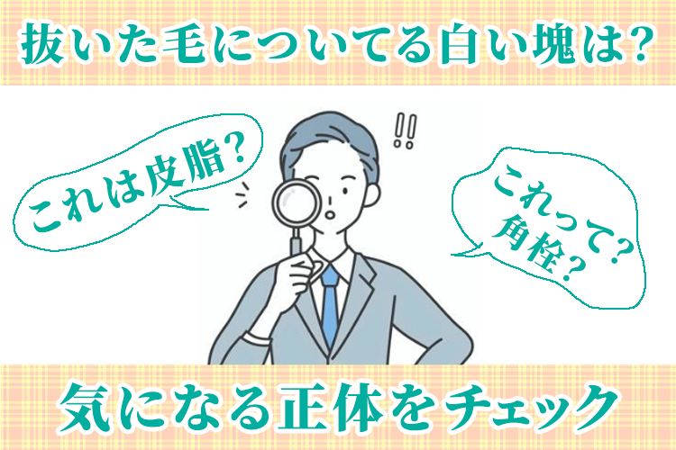 抜いた毛についてる白い塊は？気になる正体をチェック
