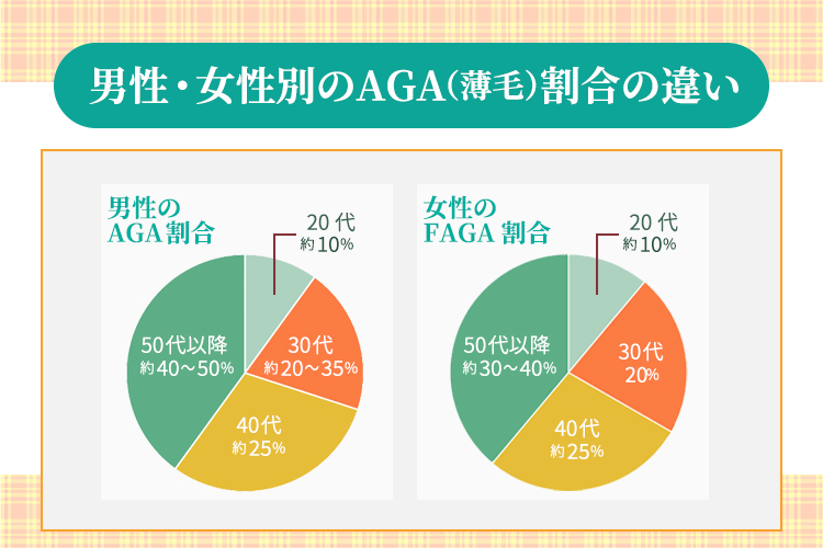 男性・女性別のAGA（薄毛）割合の違い