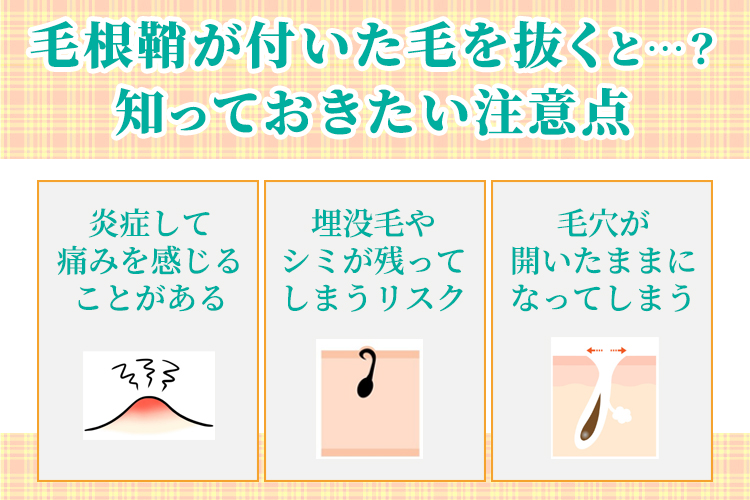 毛根鞘が付いた毛を抜くとどうなる？知っておきたい注意点